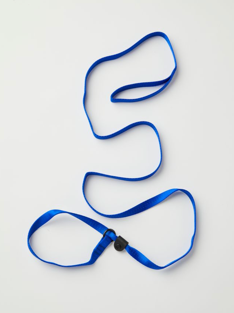 Slip Lead - Blue