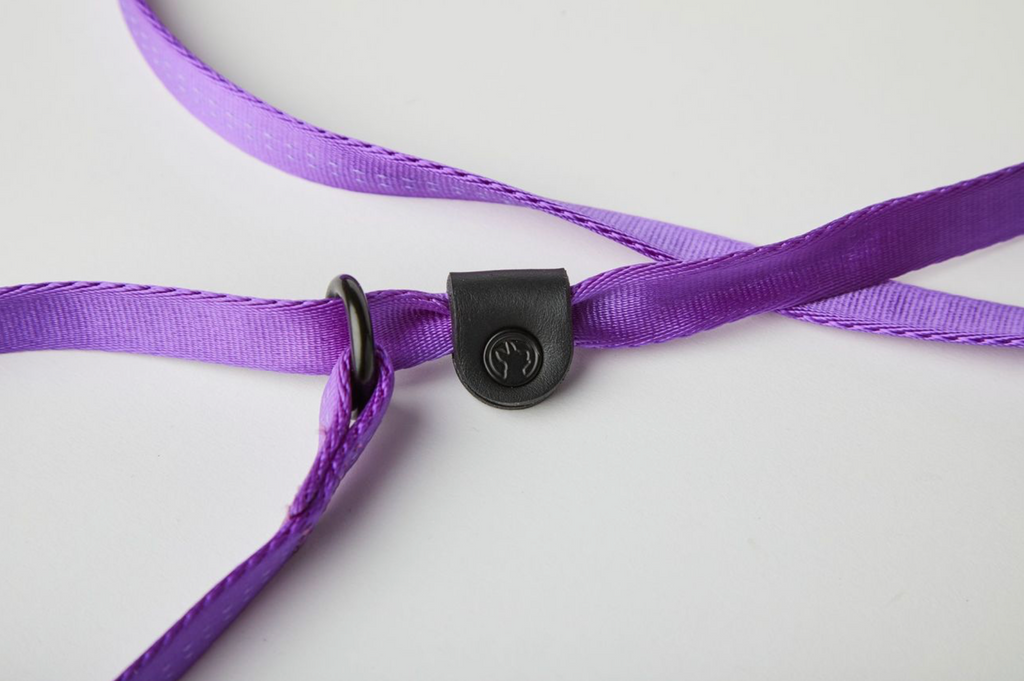 Slip Lead - Purple