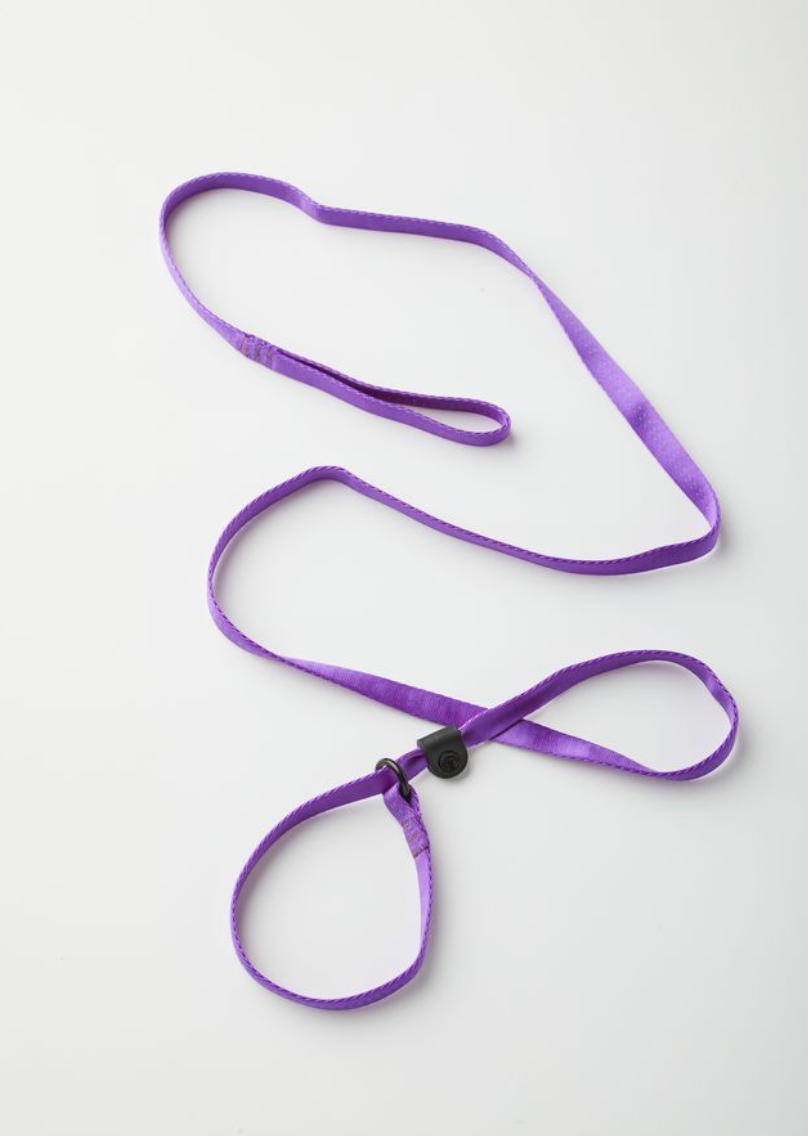 Slip Lead - Purple